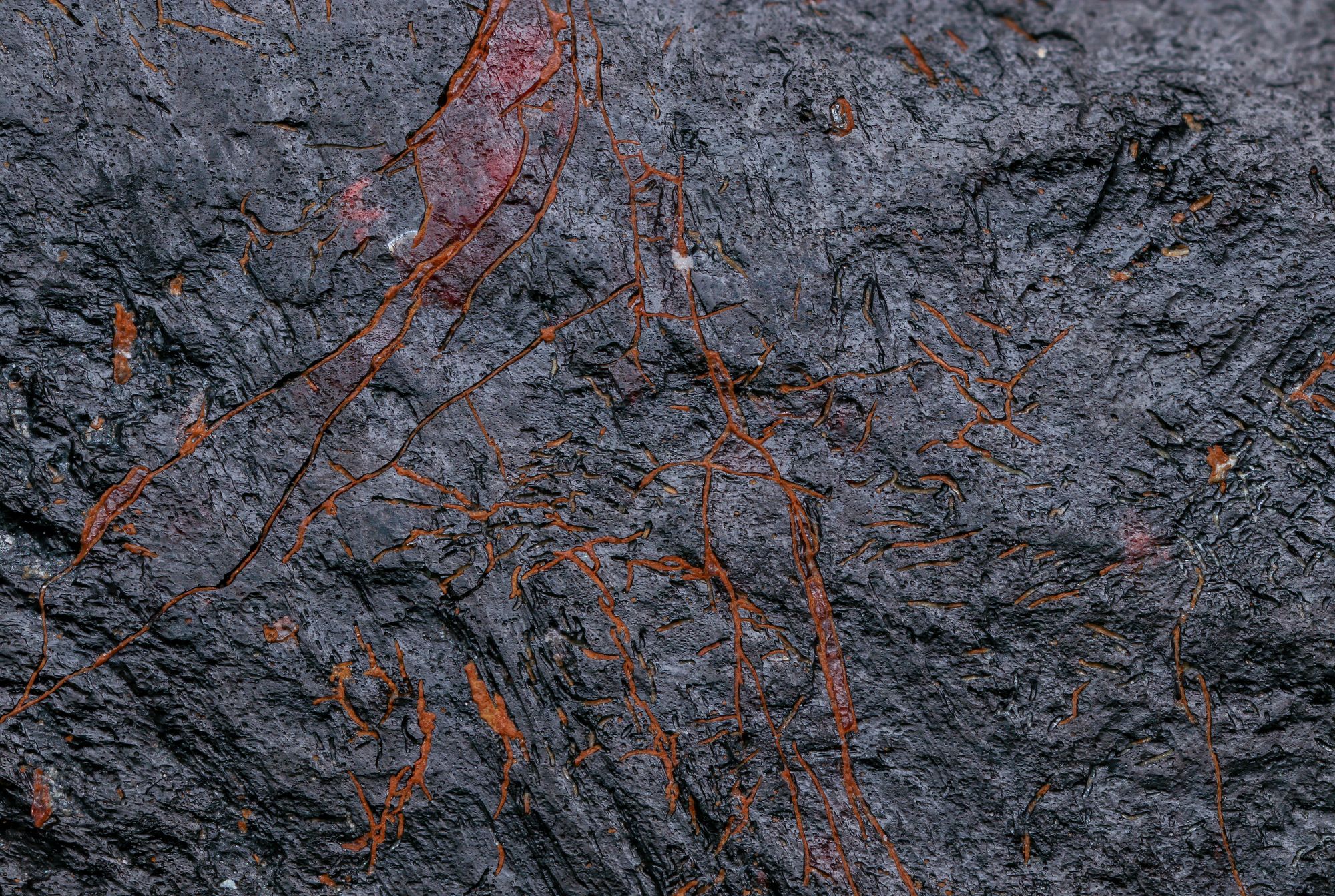 How Ancient Subduction Zones Seeded Today’s Copper and Gold Deposits