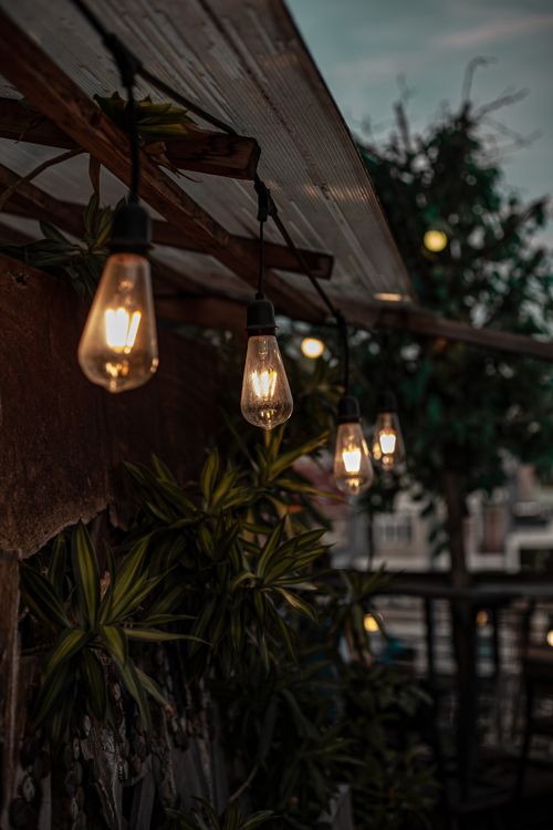 Free Glowing filament lightbulbs hanging outdoors at dusk, creating a warm, vintage ambiance. Stock Photo