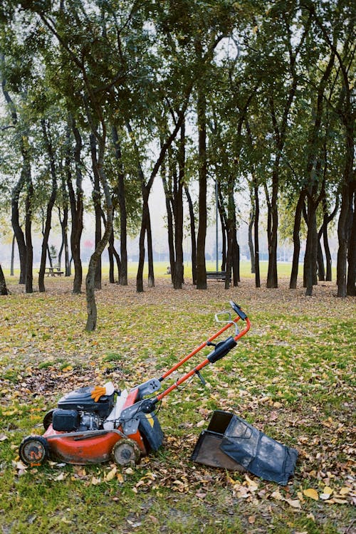 Free A Red and Black Lawn Mower Stock Photo