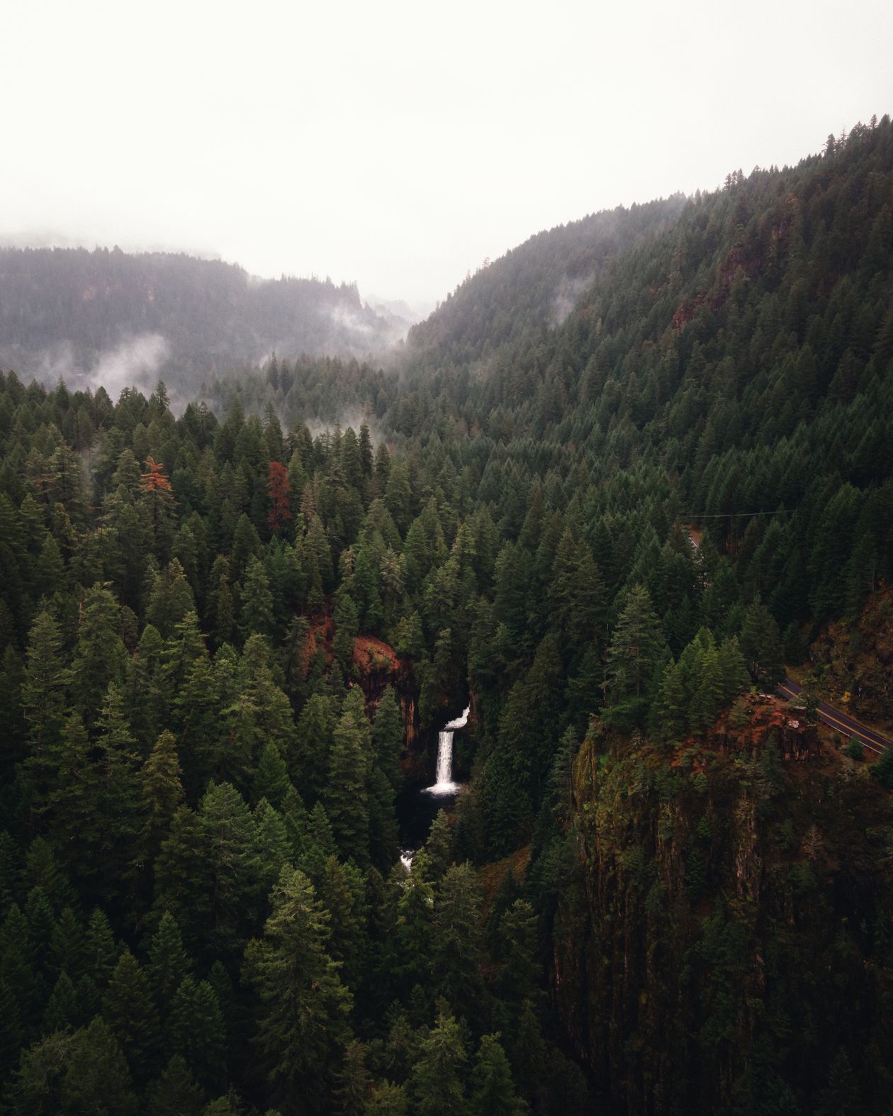 Aerial view of a waterfall in thick Northwest woods