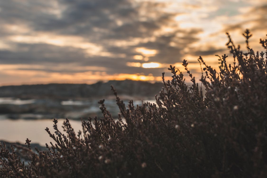 Gratis arkivbilde med daggry, farge, himmel