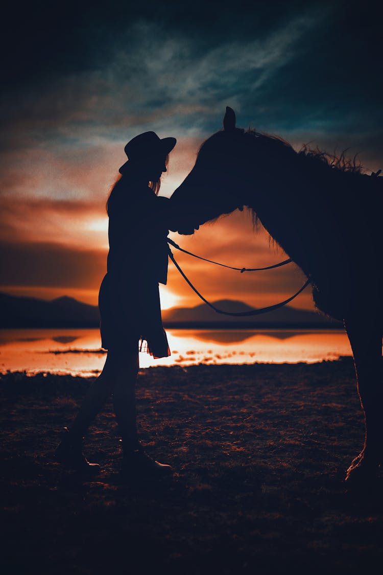 Silhouette Of A Woman Standing In Front Of A Horse