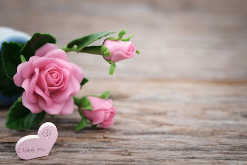 Free Shallow Focus Photo of Pink Ceramic Roses Stock Photo