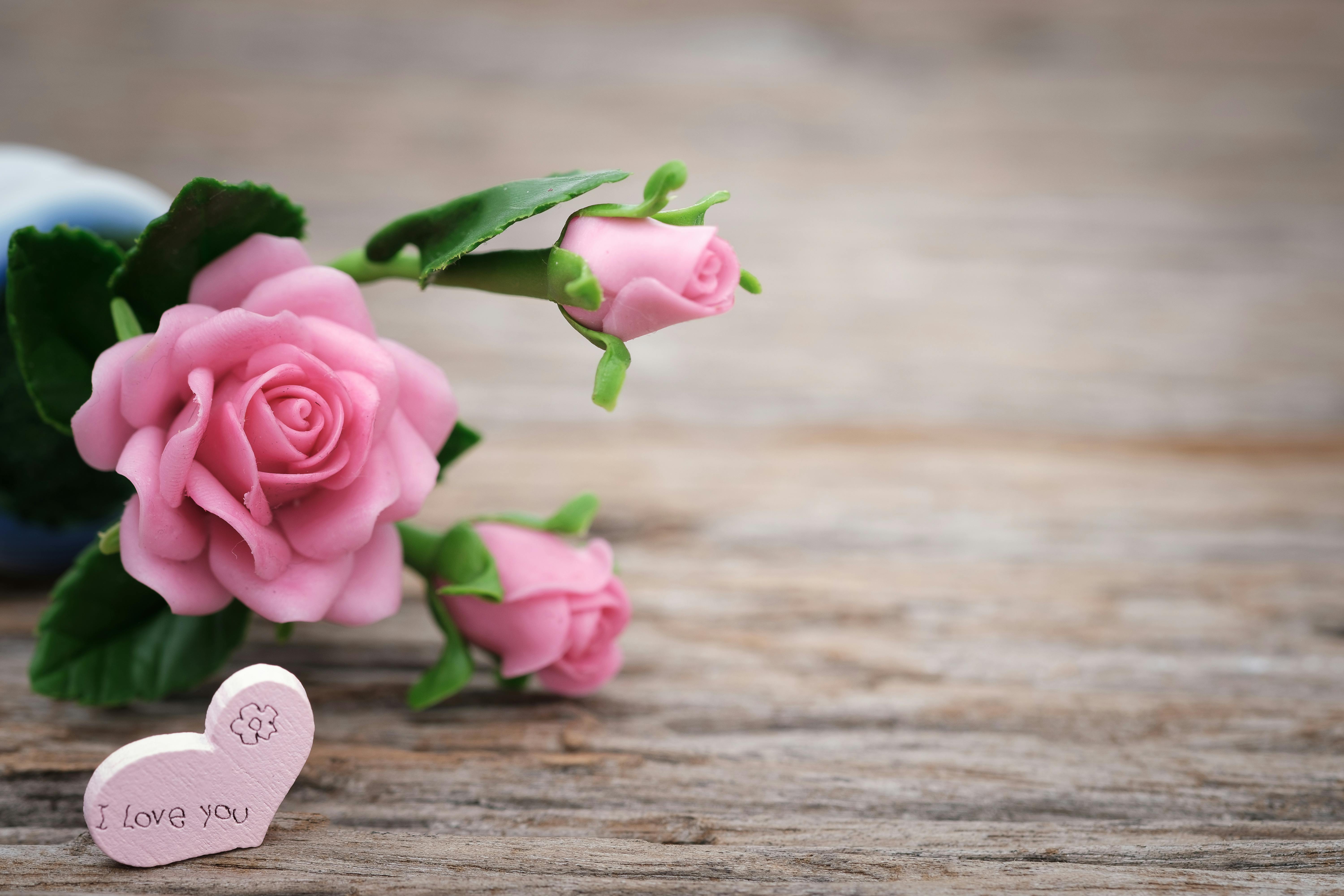 Shallow Focus Photo Of Pink Ceramic Roses Free Stock Photo