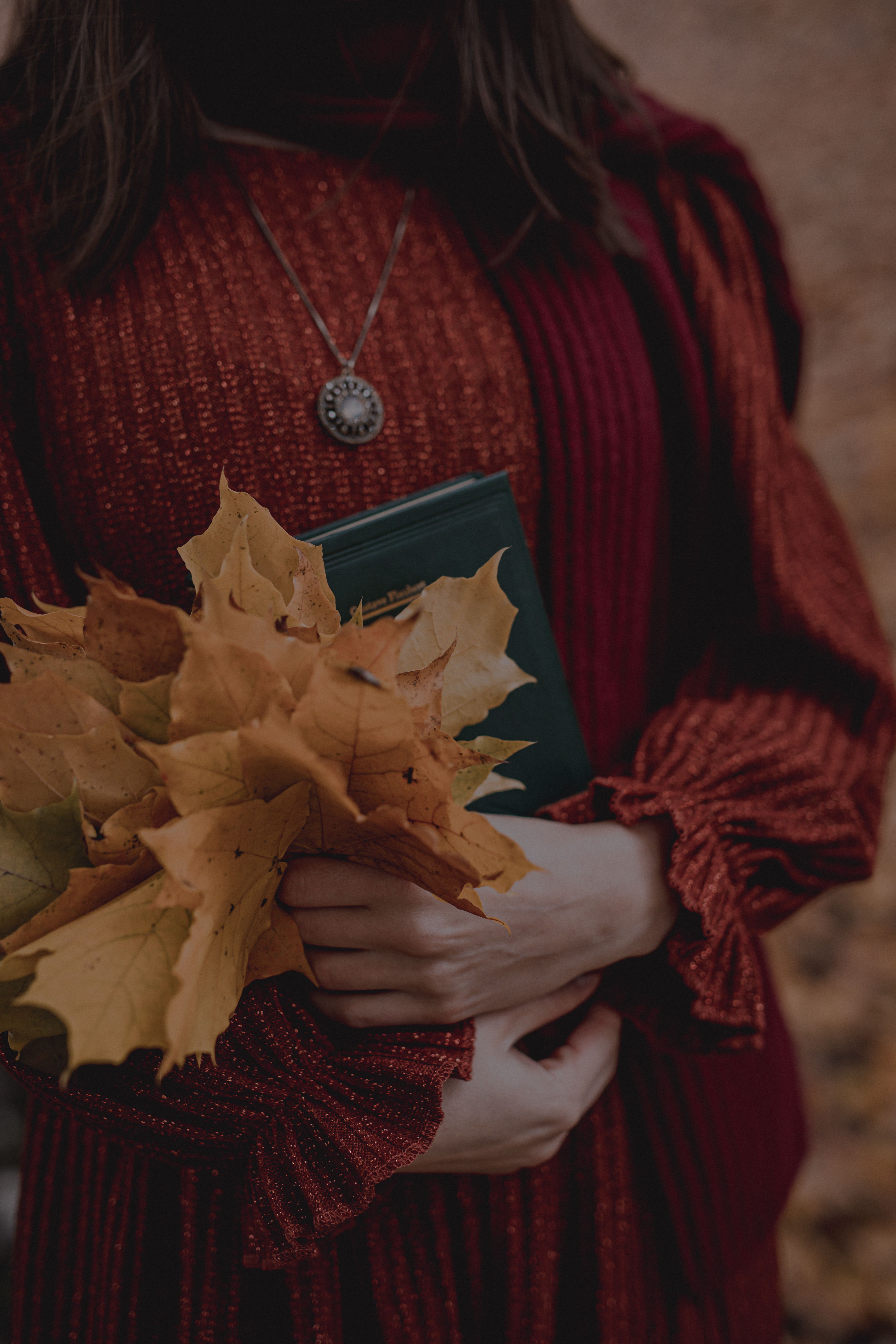 Woman in Red Long Sleeve Top Holding Brown Maple Leaves · Free Stock Photo