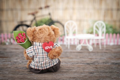 Free Brown Bear Plush Toy Holding Red Rose Flower Stock Photo