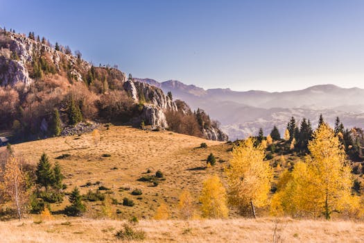 Panoramic view of Măgura, Romania, showcasing autumn forests and distant mountains under a clear sky.