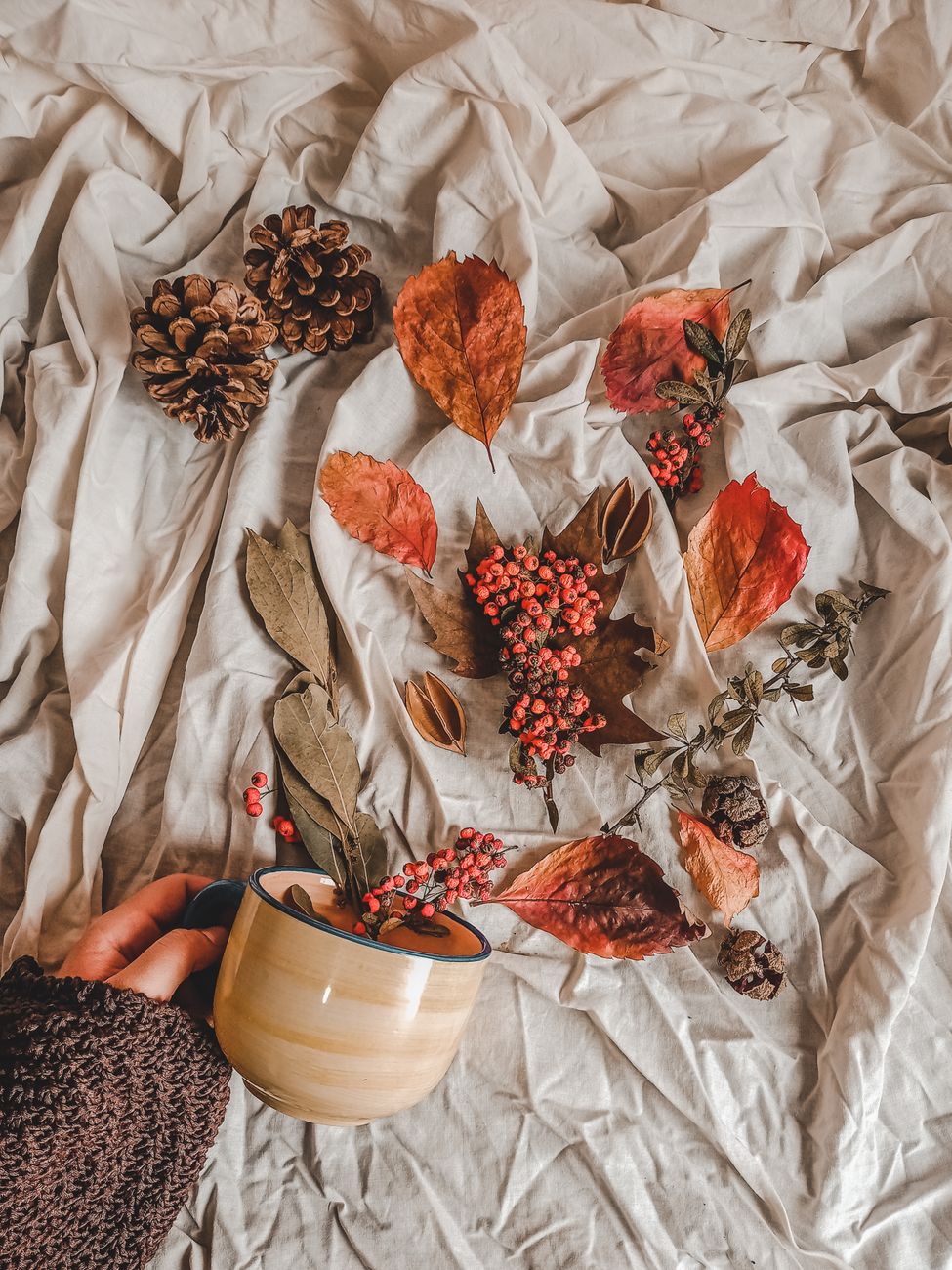 Warm autumn flat lay featuring pine cones, leaves, and a ceramic cup for a cozy seasonal vibe.
