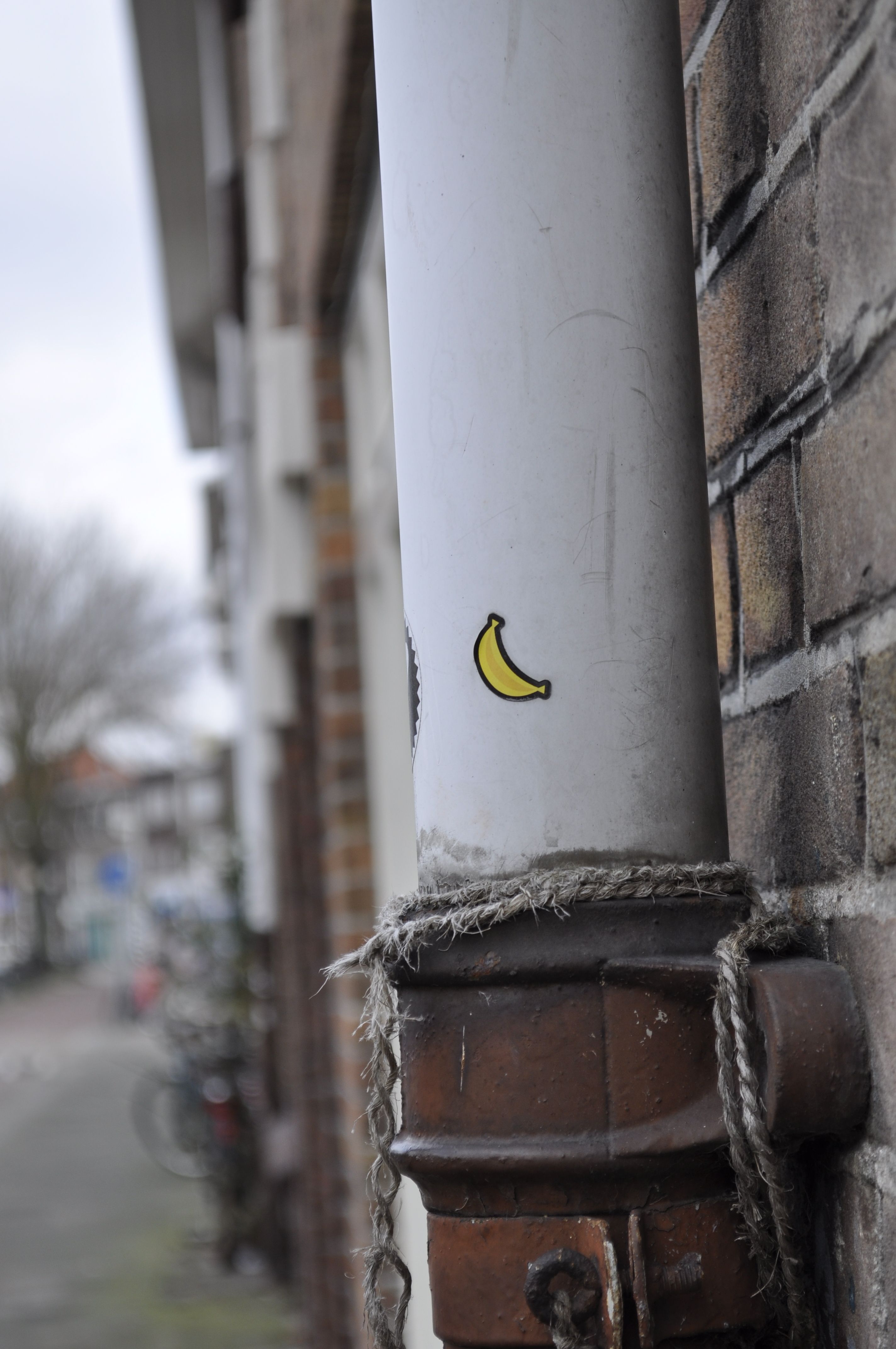 Free stock photo of banana, rope, sticker
