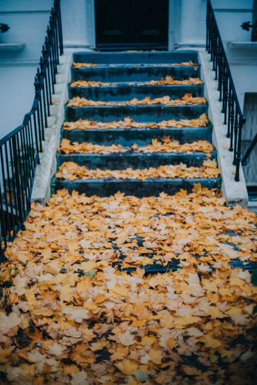 Free A staircase covered in vibrant fallen autumn leaves, evoking a seasonal atmosphere. Stock Photo