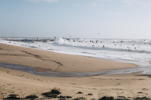 Δωρεάν στοκ φωτογραφιών με Surf, άμμος, άμμος-παραλία Φωτογραφία από στοκ φωτογραφιών
