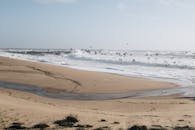 宁静的海岸线上，海浪轻涌，鸟儿飞过地平线