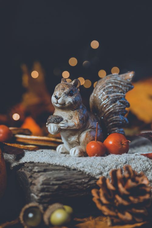 Free A close-up of a squirrel figurine surrounded by autumn decorations with a warm, cozy ambiance. Stock Photo
