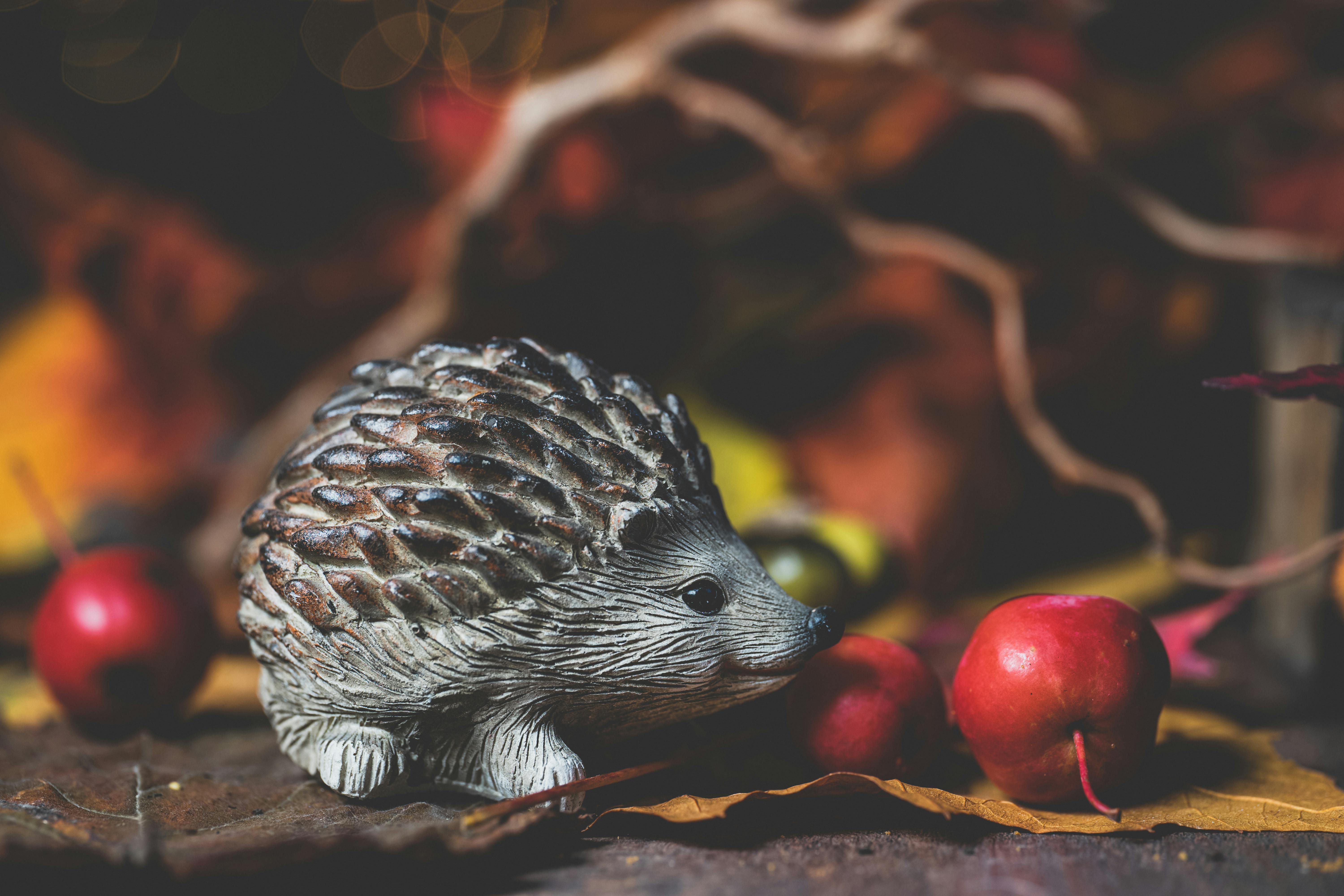 A hedgehog curled up in a warm blanket
