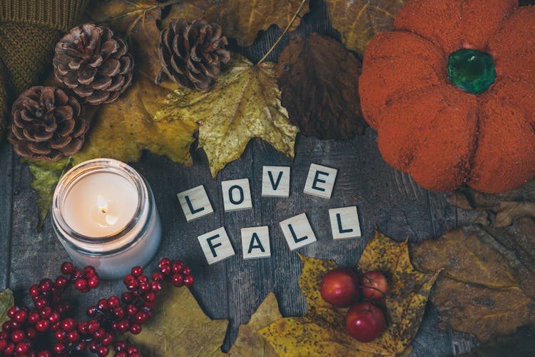 Close-Up Shot Of Autumn Decorations