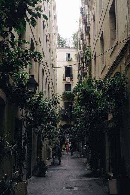 Explore the picturesque narrow alleyway of Barcelona's Gothic Quarter, adorned with lush greenery and architectural charm.