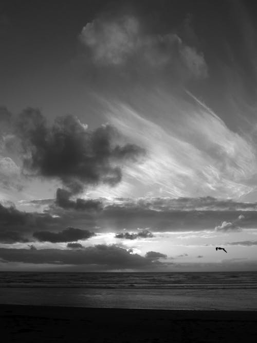 Grayscale Photo of a Beach 