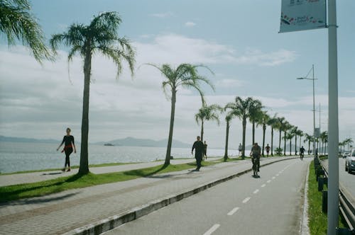 Free People Walking and Riding a Bicycle on the Road By the Sea Stock Photo