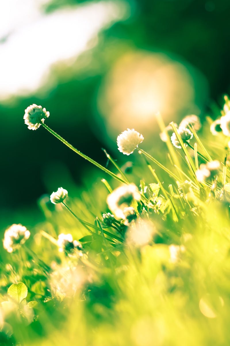 5 Zen Principles For Better Life