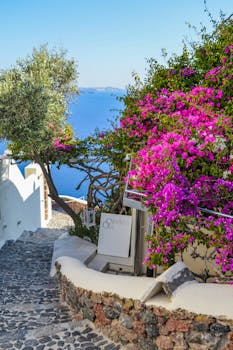 White Signage Beside Purple Bougainvillea Beside Body of Water with the Quote "When something is important enough, you do it even if the odds are not in your favor." written on it and have average color value #7E7C82