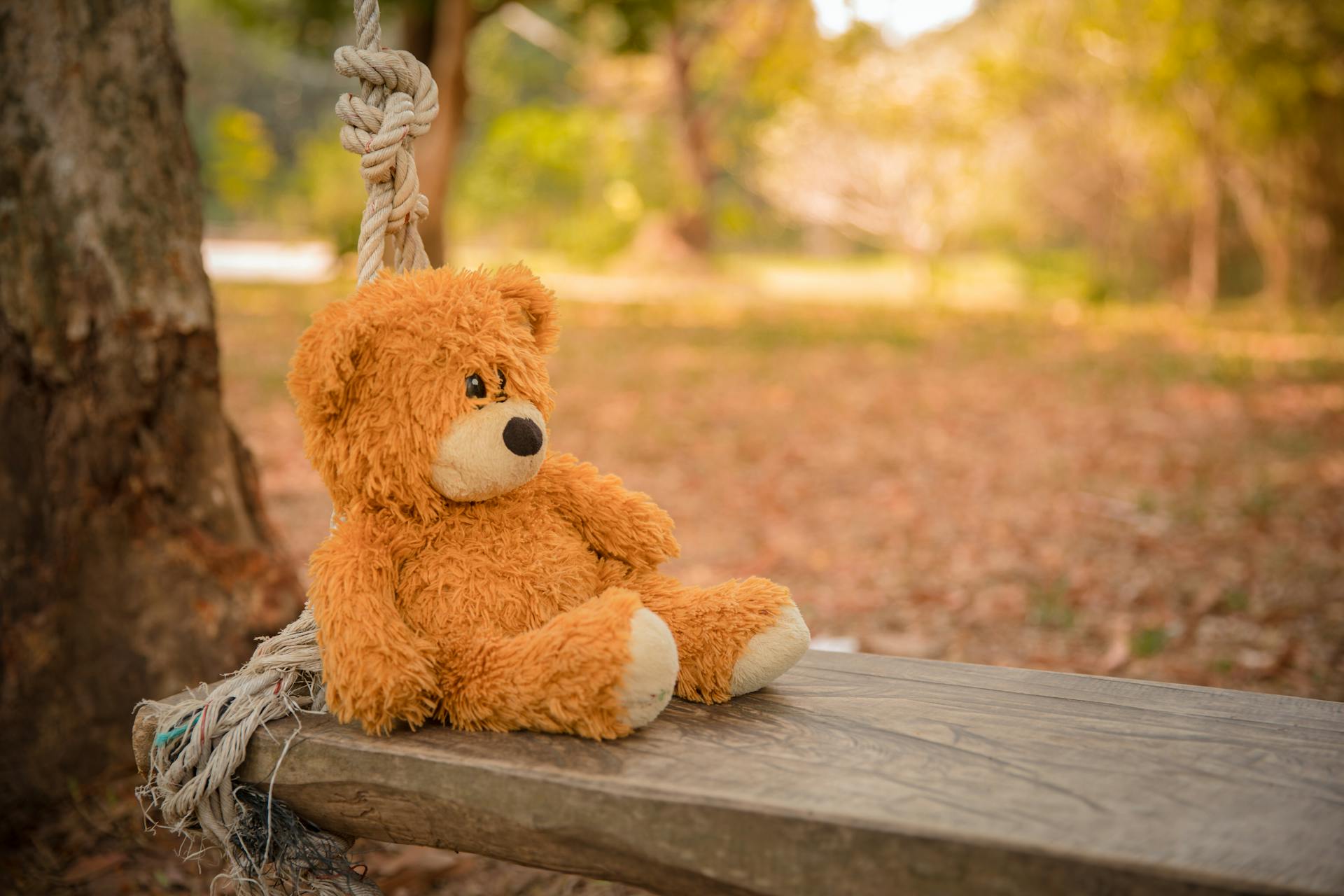 Close-Up Photography of Teddy Bear on Wooden Swing