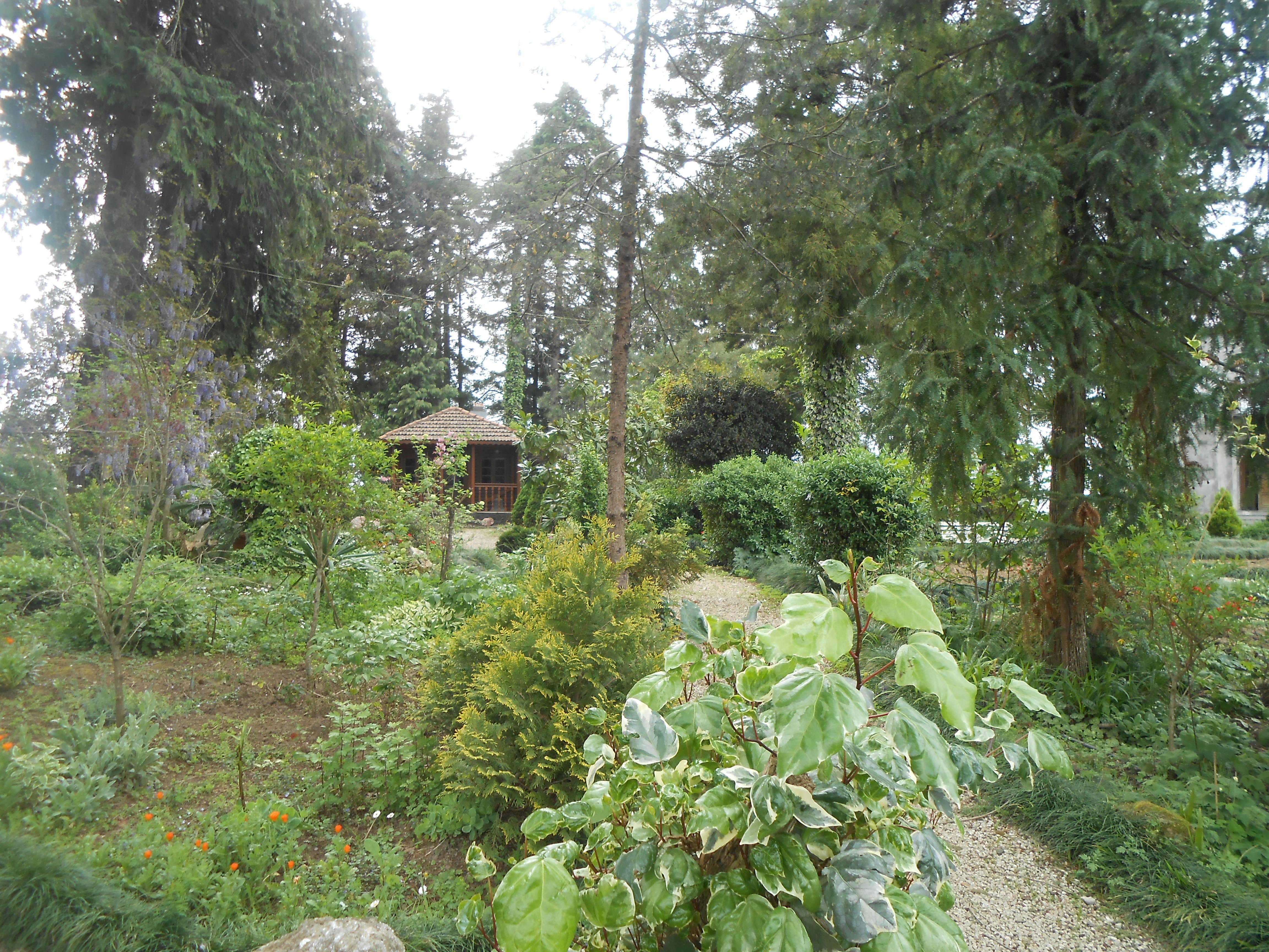 Martelo de juiz sobre mesa de madeira — representação de justiça e prova