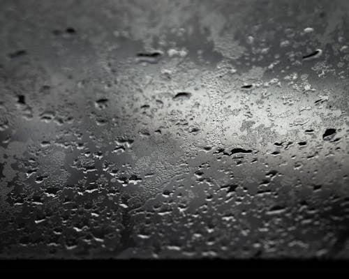 Free stock photo of calm water, drops of water, rain