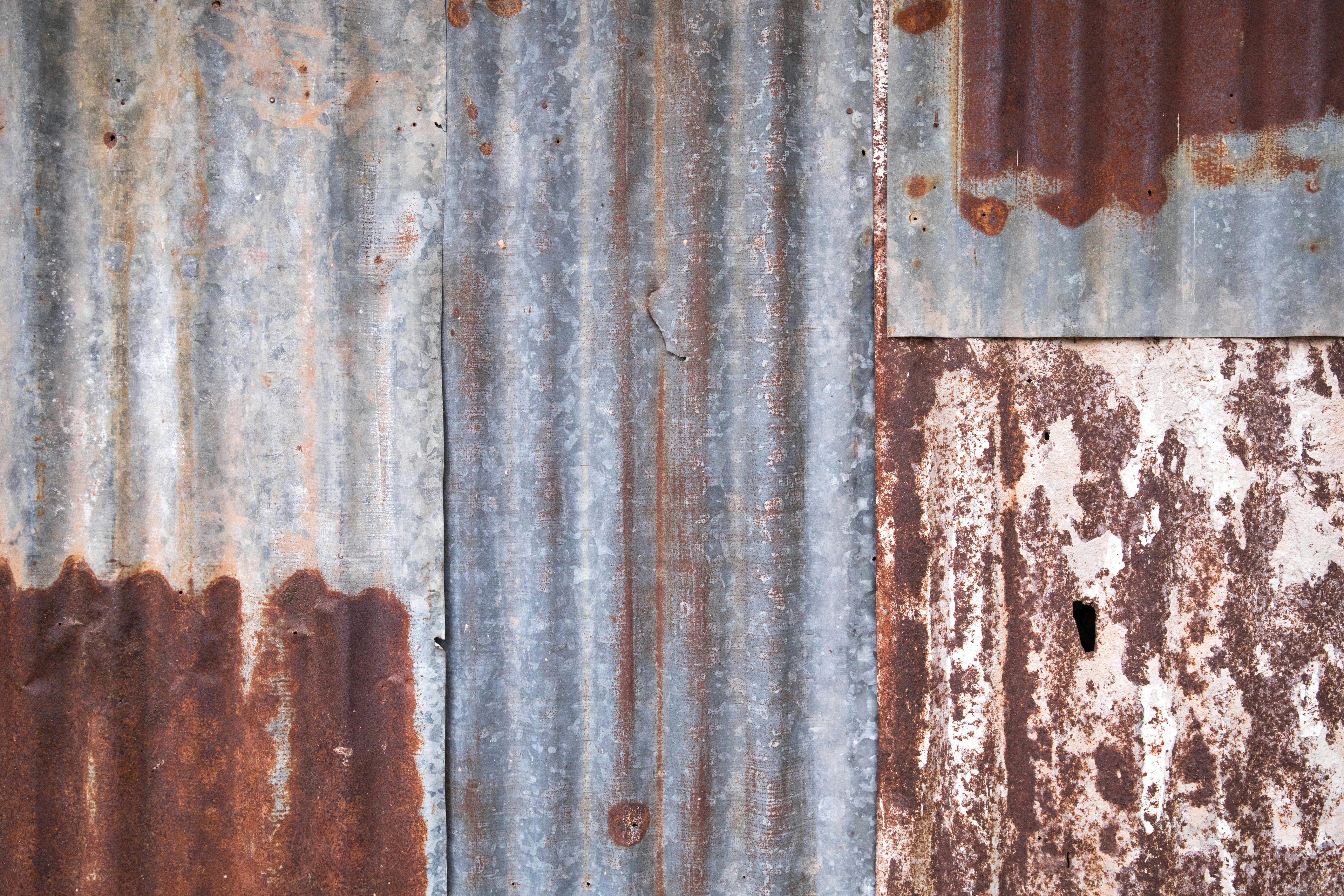 Champ de lavande en Provence, France