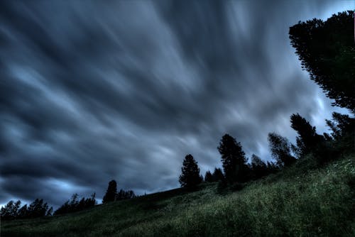 Gri Bulutların Altında Ağaçlar Siluet Fotoğrafı