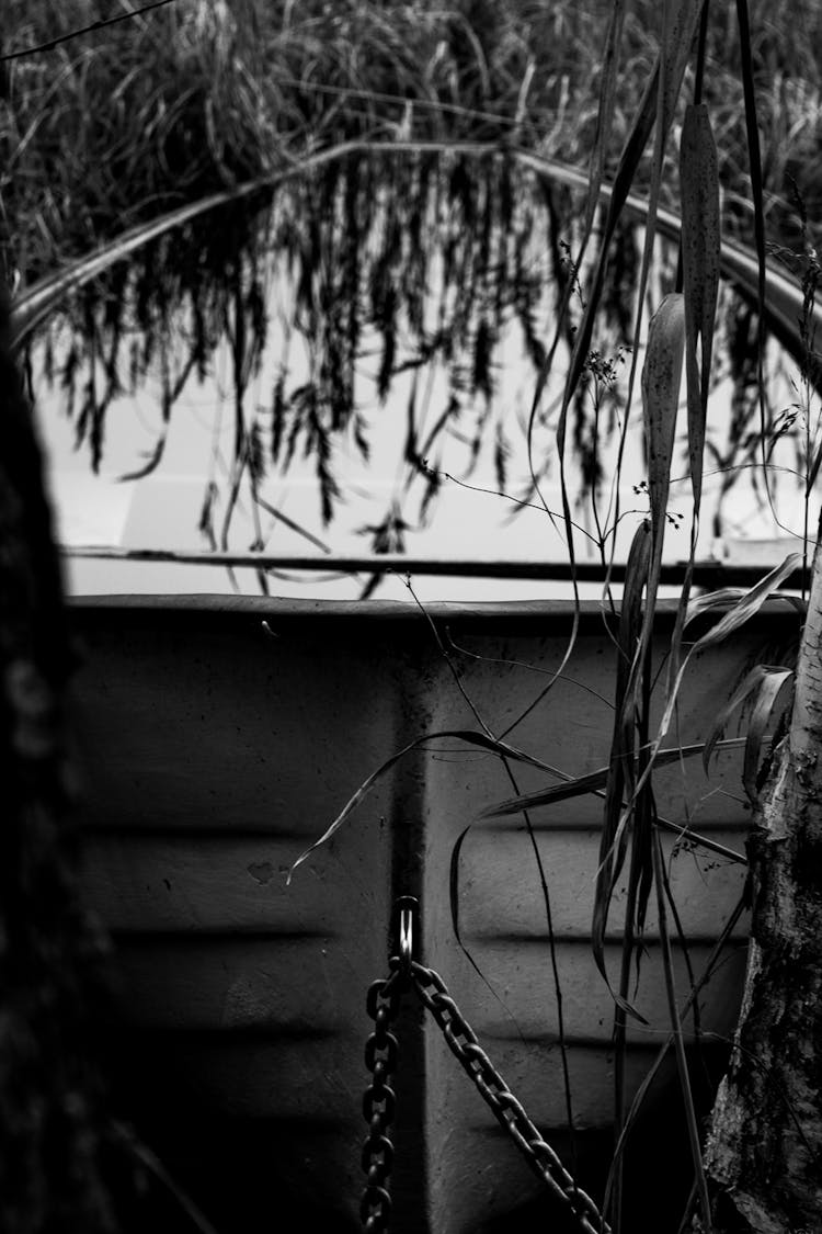 Black And White Artistic Photography With Grass Reflecting In A Boat Full Of Water 