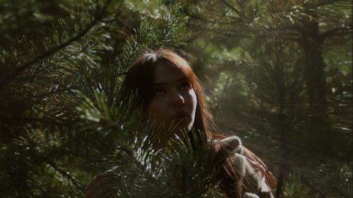 Free Young woman looking up through pine branches, immersed in a lush forest environment. Stock Photo