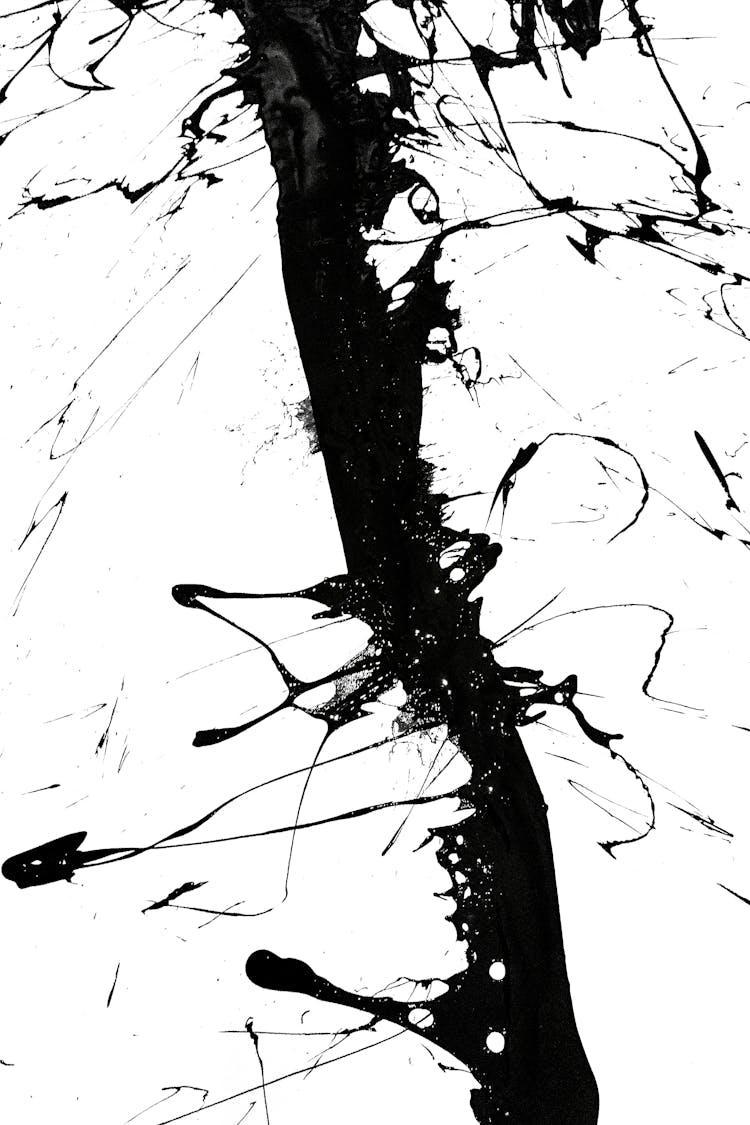 Abstract Splashes Of Paint In Black And White