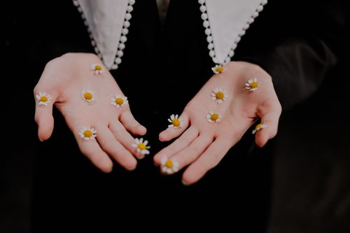 Free Artistic shot of hands holding daisies, wearing black sleeves and white collar. Stock Photo