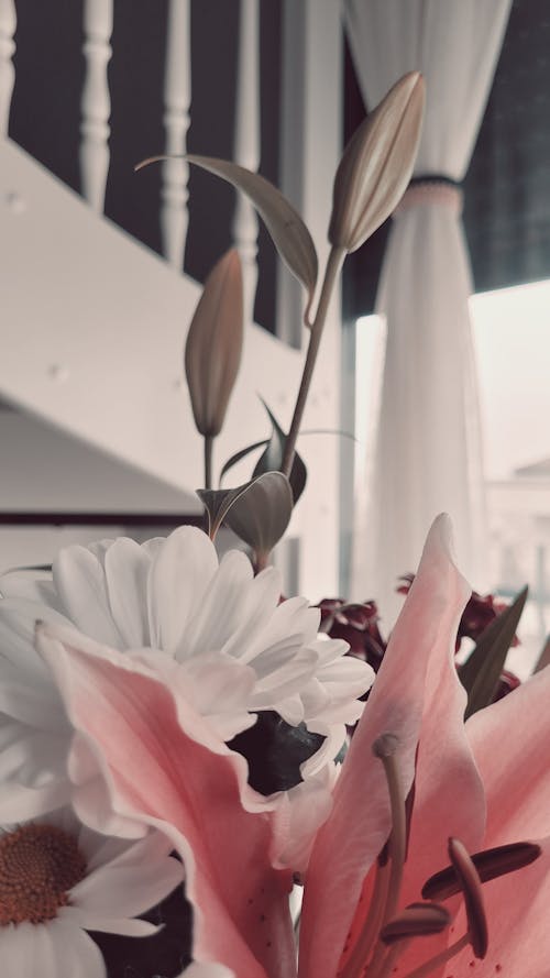 Gratis stockfoto met mooie bloemen Stockfoto