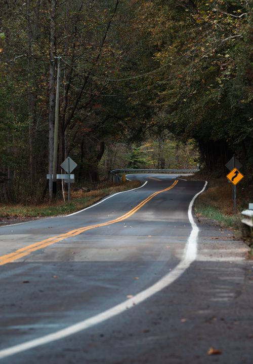 Free Scenic empty road winding through a forest, signs indicate curves ahead for safe driving. Stock Photo
