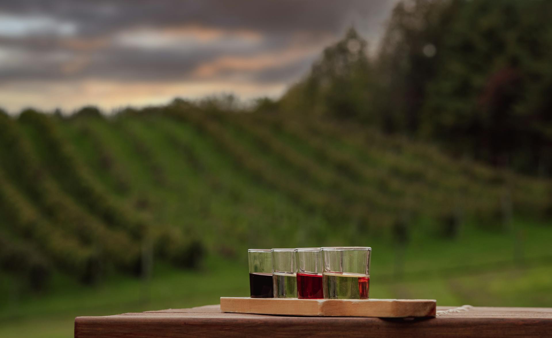 Small glass assortment of liquors on wooden board with vineyard and sunset backdrop.