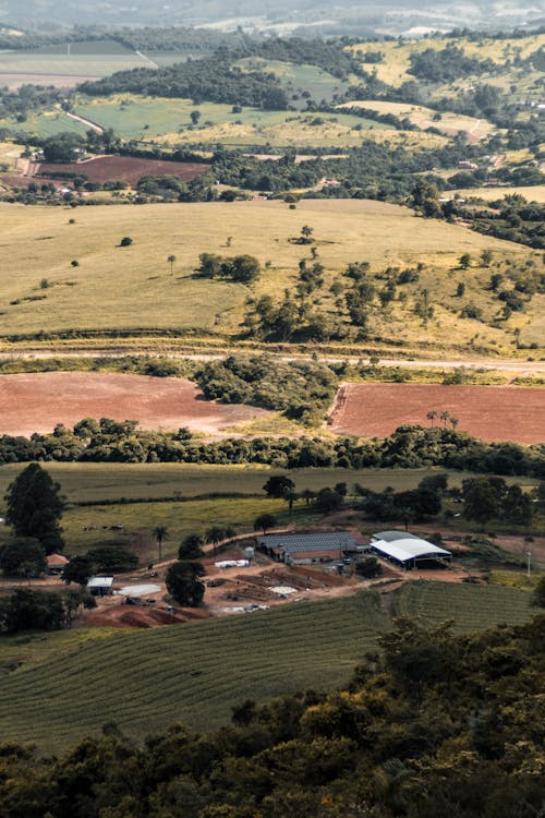 Aerial Photography of Farm Field