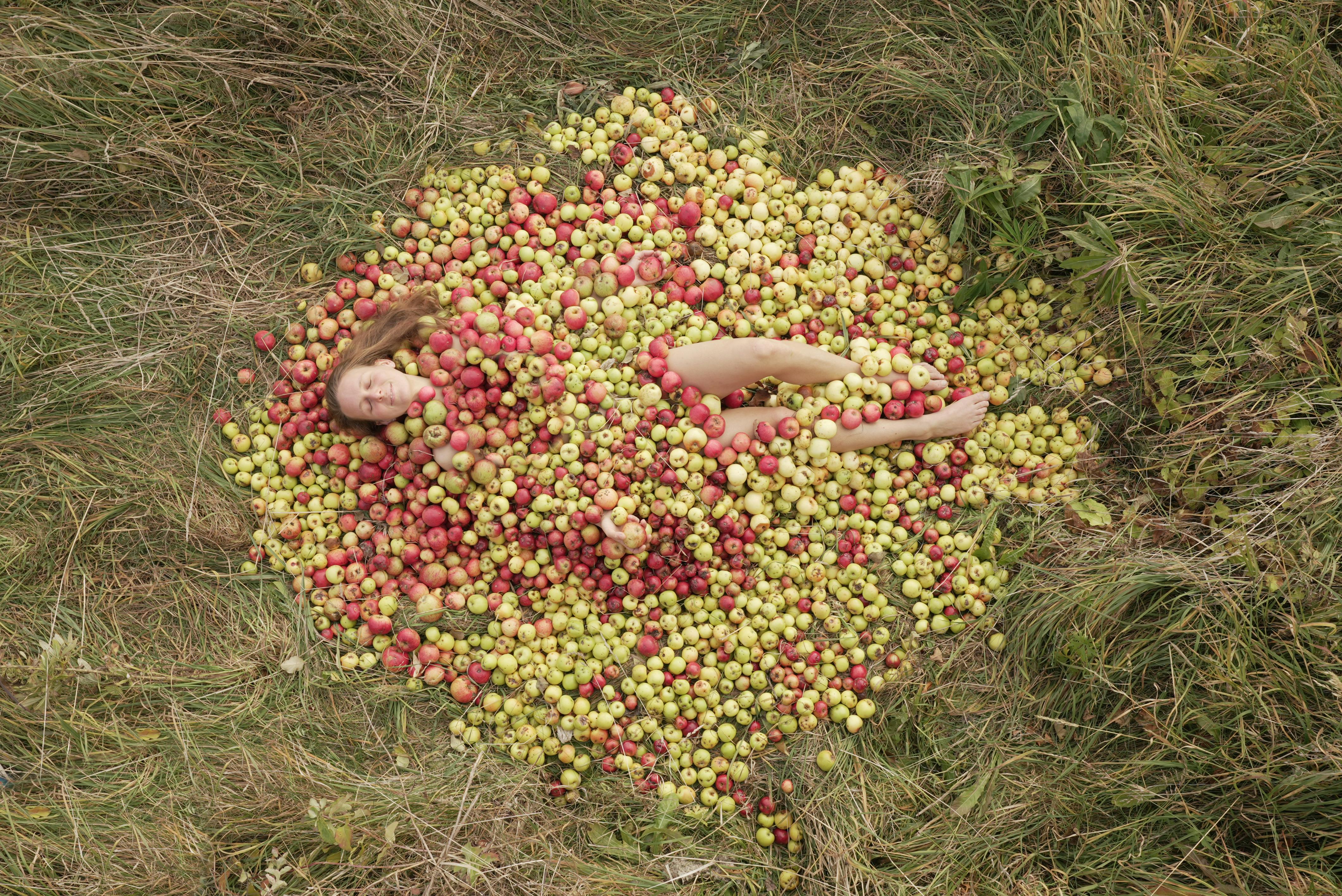 Fertilizantes Orgánicos Caseros: Nutrición Sostenible para Huertas Urbanas