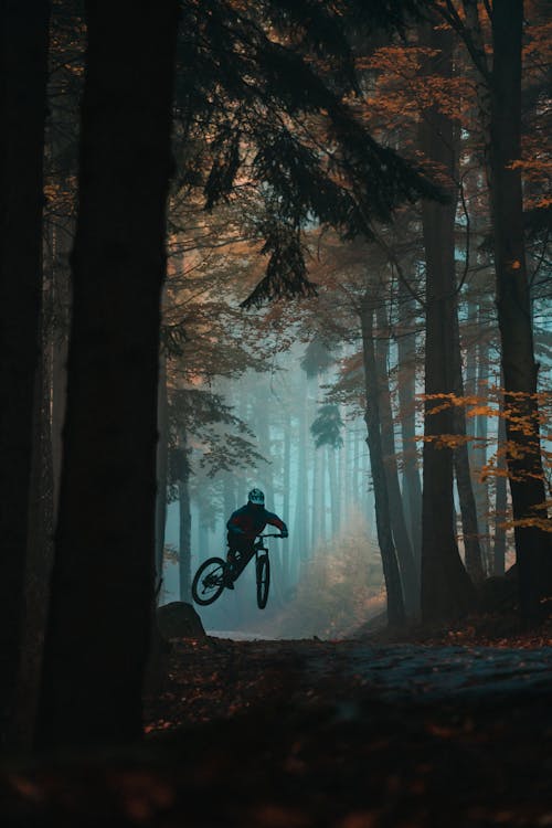 Free Man on Mountain Bike in Forest Stock Photo