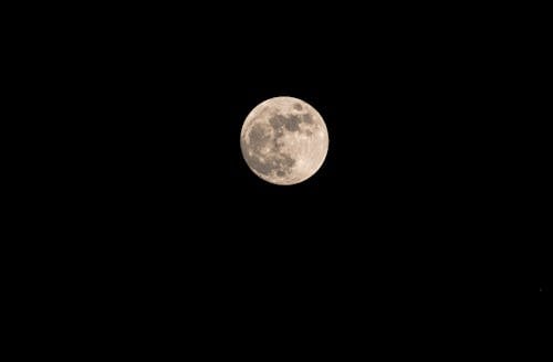 Free Full Moon in Dark Night Sky Stock Photo