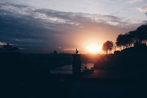 Free Silhouette of Trees and Buildings during Sunrise Stock Photo