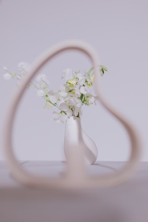 Free White Flowers on White Ceramic Vase Stock Photo