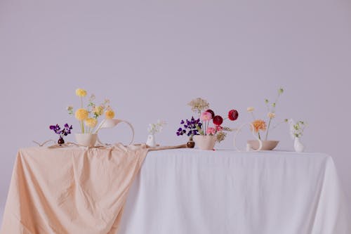 Potted Flowers on White Table