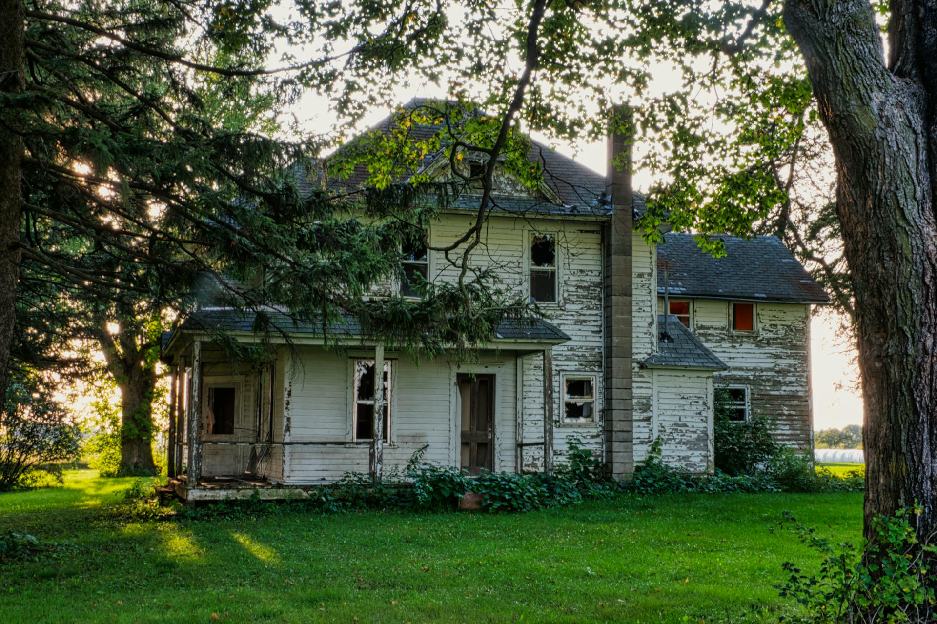 A weathered and abandoned farmhouse in rural Minnesota, enveloped by trees and greenery.