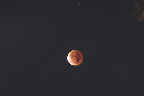 Blood Moon in Dark Night Sky