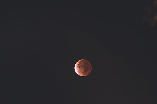 Free stock photo of blood moon, clear sky, eclipse