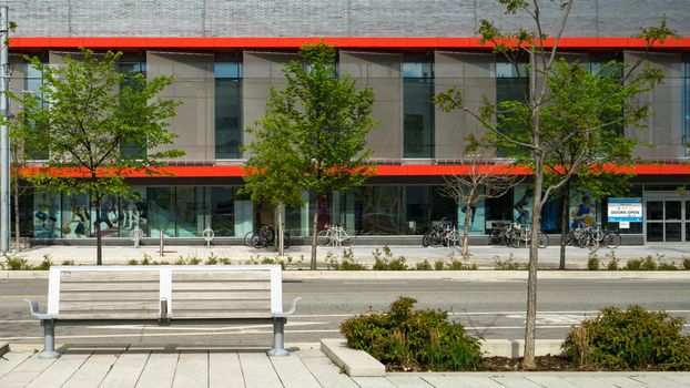 多伦多城市环境中，当代建筑立面旁有树木和长凳