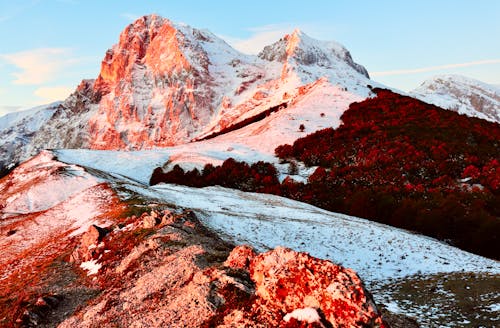 Free Snowy Brown Mountain With Red Trees Stock Photo