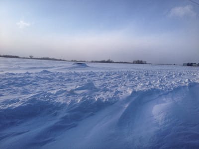 Premium rice and grains