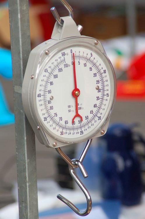 Close-up on Analogue Fishing Scale · Free Stock Photo